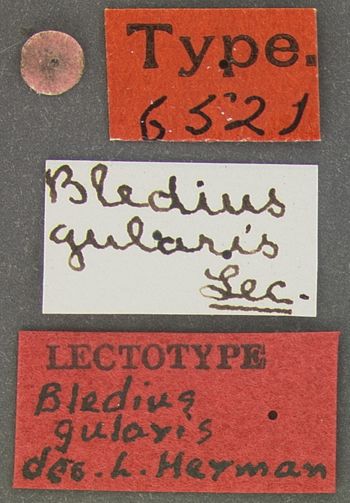Media type: image;   Entomology 6521 Aspect: labels